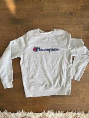 Champion Hoodies & sweatshirt Unisex adults Size M Gray